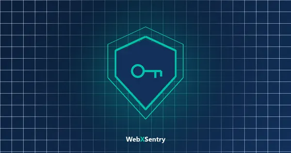 WebXSentry guide: who owns your website domain, hosting and logins