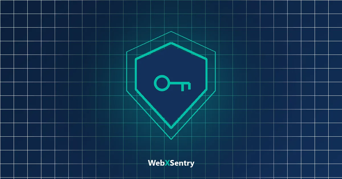 WebXSentry guide: who owns your website domain, hosting and logins
