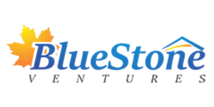 Blue Stone Ventures