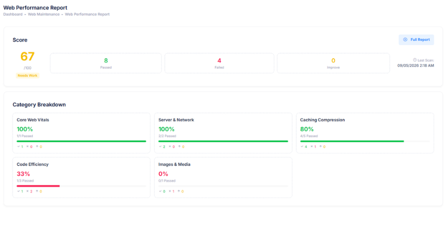 Web performance screen in the client dashboard